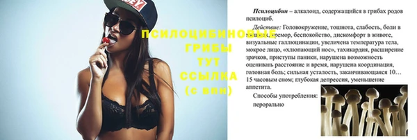 марихуана Абаза