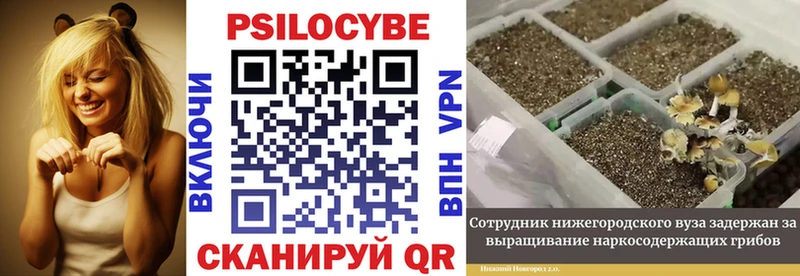 Галлюциногенные грибы мухоморы Нестеровская